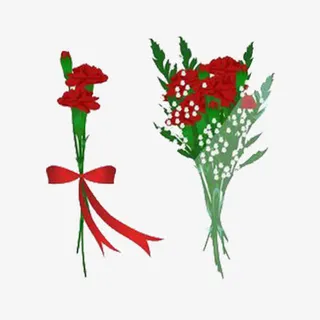 红色康乃馨花束免抠