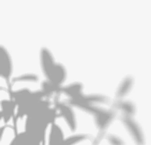 光影斑驳 植物投影 背景装饰（大尺寸）免抠