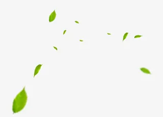 绿色叶子漂浮素材免抠