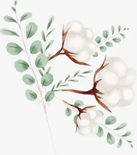 手绘棉花免抠 手绘棉花免抠