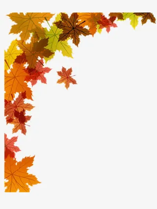 黄叶左上角半边框免抠