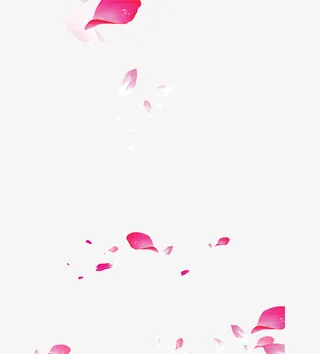 花瓣免抠