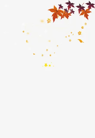 落叶缤纷免抠