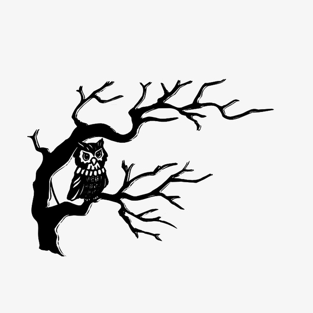 枯树枝上的猫头鹰免抠