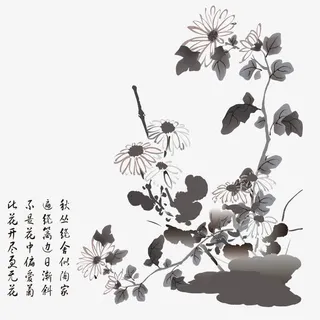 水墨菊花免抠