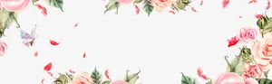 春季花瓣花朵边框免抠