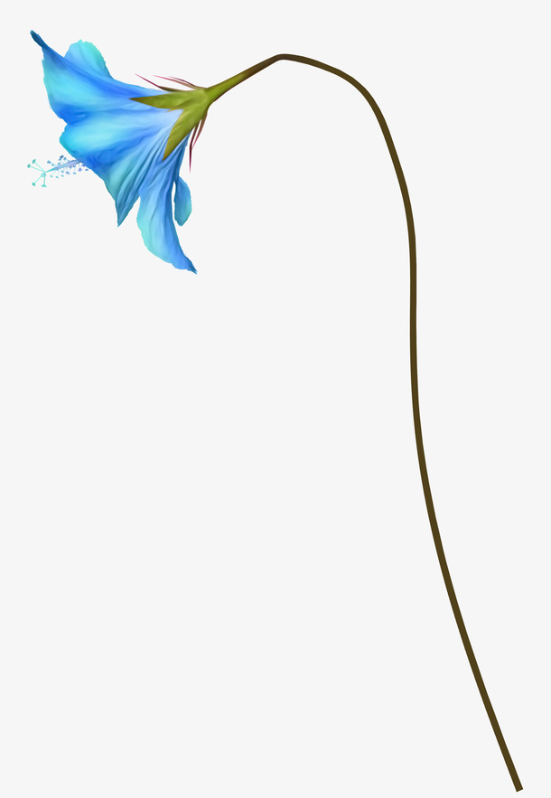 花卉免抠