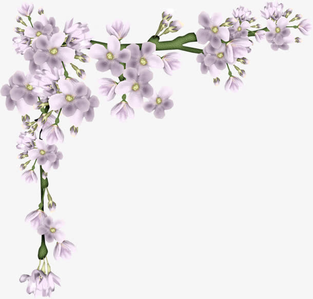 卡通手绘花朵装饰免抠