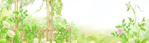 小清新台历手绘banner创意设计