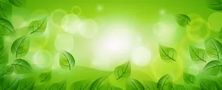 彩色树叶banner高清