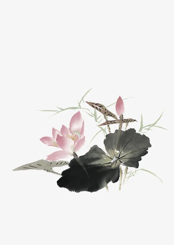 手绘中国风荷花水墨画免抠