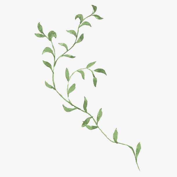 藤蔓免抠