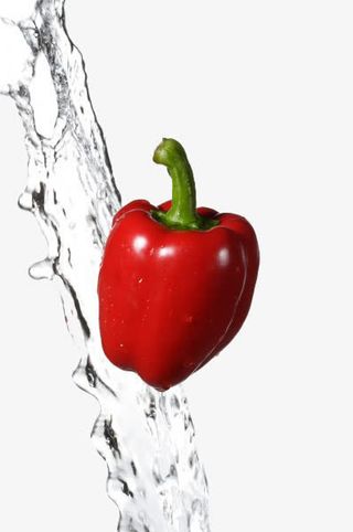 红色柿子椒免抠