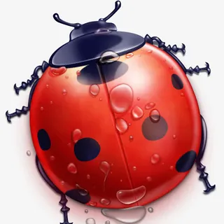 高清七星瓢虫免抠