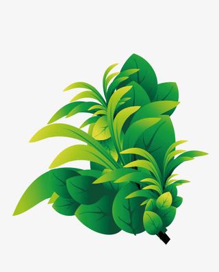 约会春天绿色植被免抠