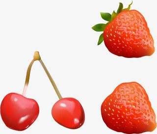 矢量手绘水果免抠