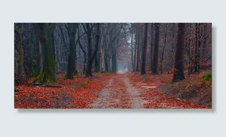 小清新树叶海报高清