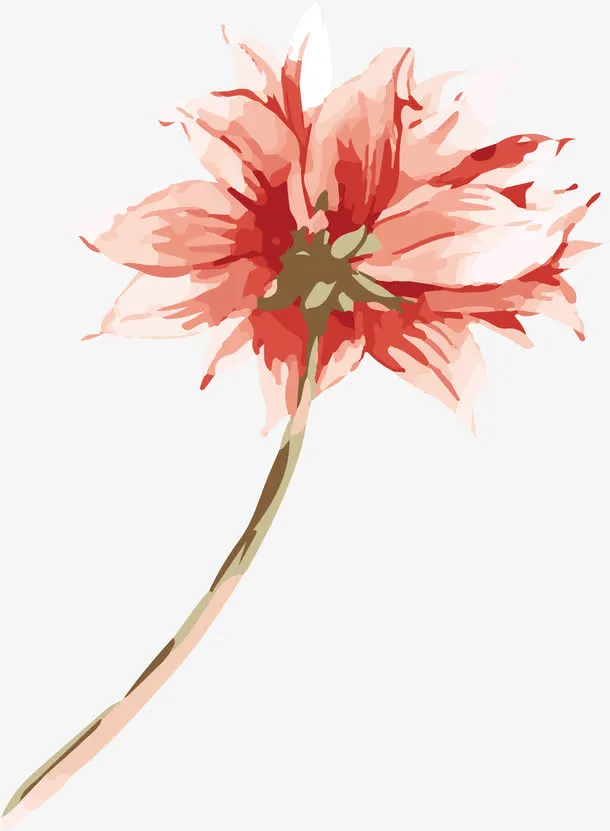 手绘鲜花PNG下载免抠
