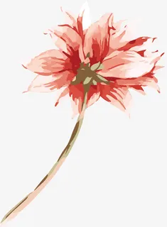 手绘鲜花PNG下载免抠