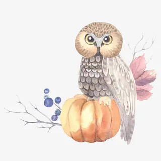 卡通手绘可爱的猫头鹰免抠