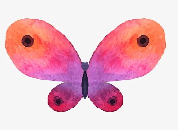 卡通手绘文艺简约蝴蝶动物插画设免抠