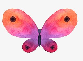 卡通手绘文艺简约蝴蝶动物插画设免抠