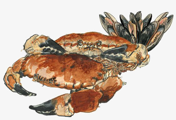水彩螃蟹免抠