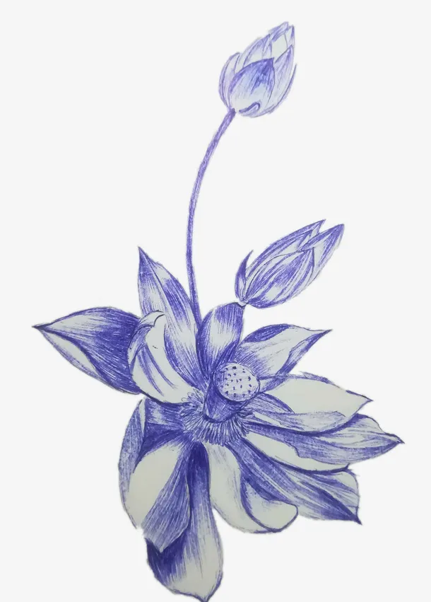 圆珠笔荷花儿免抠