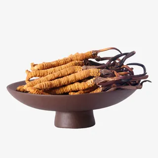 药材野生冬虫夏草免抠