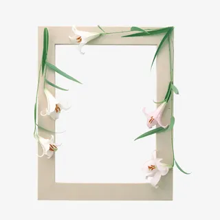 鲜花相框免抠