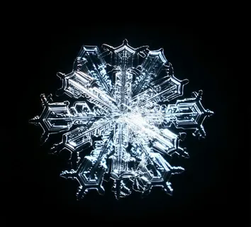 黑色背景晶莹的雪花