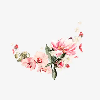 手绘牡丹花免抠