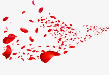 情人节妇女节三八节花瓣免抠