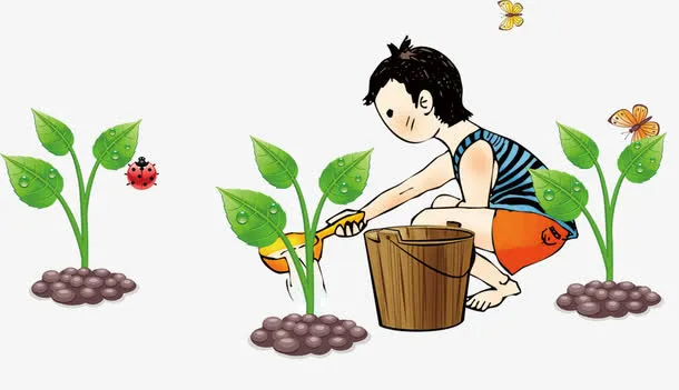 种树的男孩免抠
