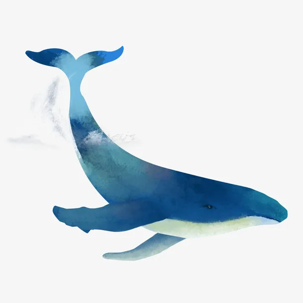 小眼睛的鲸鱼免抠