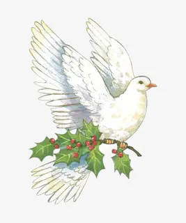 手绘白鸽免抠