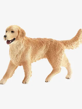 母金毛寻回犬玩具免抠