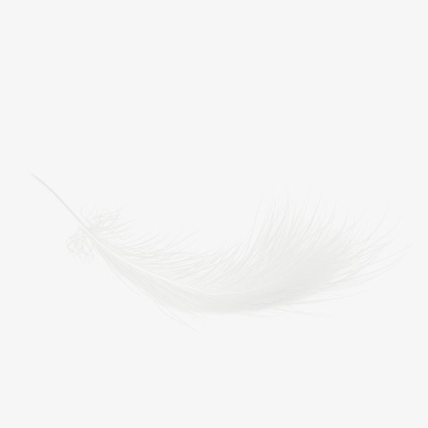 矢量白色羽毛下载免抠