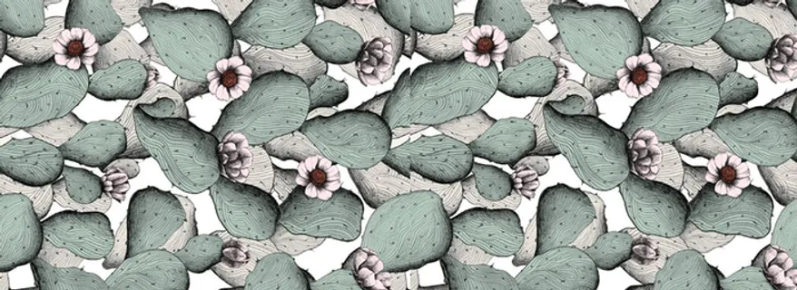 仙人掌背景高清