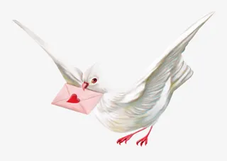 送情书的信鸽免抠