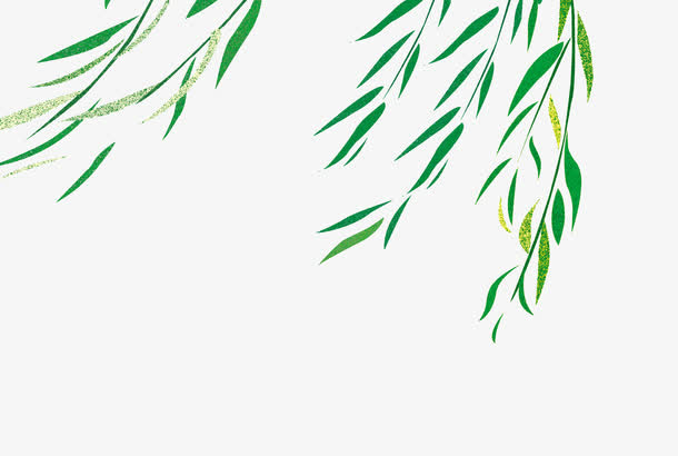 柳树免抠