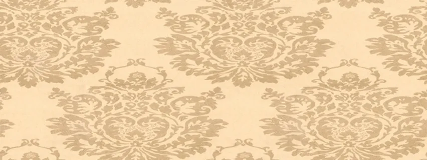 唯品会背景图高清