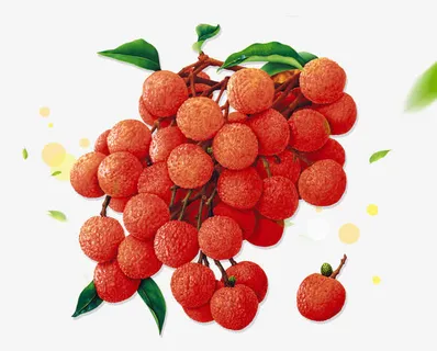 卡通手绘荔枝产品实物装饰素材免抠 卡通手绘荔枝产品实物装饰素材免抠