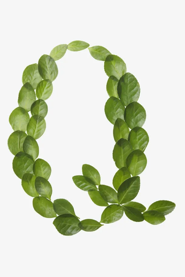 绿叶字母免抠素材免抠