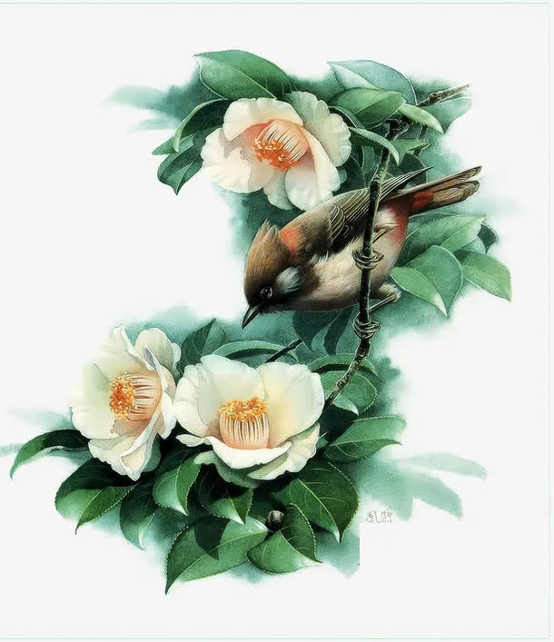 花鸟画免抠