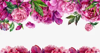 免扣手绘花朵PNG免抠