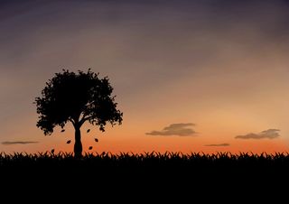 手绘唯美黄昏免抠