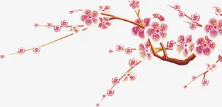 手绘粉色梅花树枝免抠