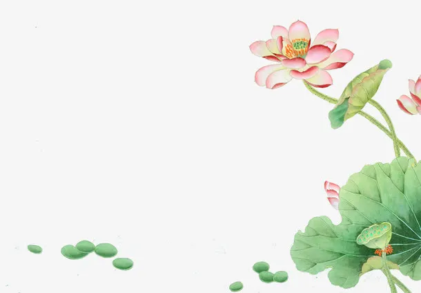 清新荷花免抠