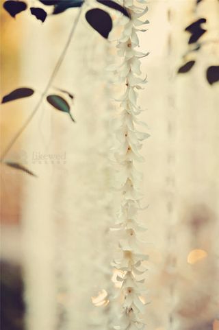 绿色藤蔓白色吊兰花束免抠